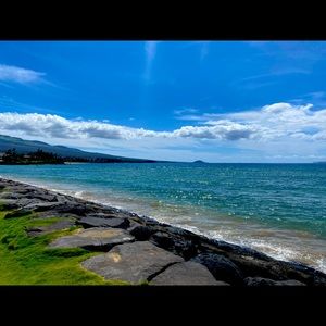 Meet your Posher, Karly